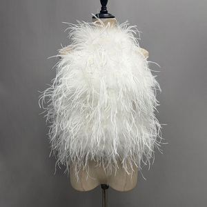 Top <span class=keywords><strong>Corto</strong></span> de Fiesta con Cuello Halter y Espalda Descubierta, con <span class=keywords><strong>Plumas</strong></span> de Avestruz Reales para <span class=keywords><strong>Mujer</strong></span> - Product Image 1