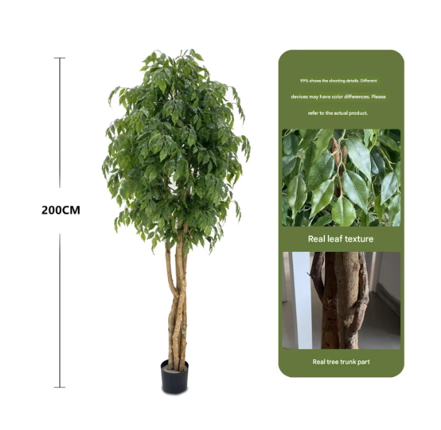 2m (arbre banian de densité accrue) pot noir