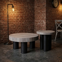 Ensemble de tables basses modernes, durables et luxueuses, en MDF écologique, style minimaliste, rondes, pour le salon