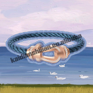 Bracelet tressé unisexe tendance PT900 avec breloque, cordon rouge, zirconiums et boucle fer à cheval plaquée or – Bijou d'anniversaire - Product Image 2