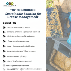 Enzima de descomposición BioBloc FOG para lavavajillas de cocina comercial y sistemas de alcantarillado de esterilización - Product Image 1