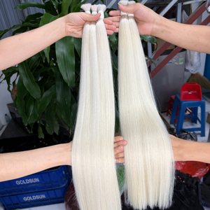 ผมแท้ธรรมชาติเวียดนามแบบเป็นมัด ผมตรงเรียบเนียน สีแพลตตินัม - Product Image 1