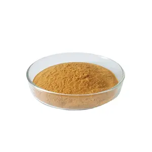 Natural Herb Extract Green coffee P.E. Green Coffee Bean Extract Total Chlorogenic acid powder