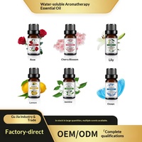 Maßgeschneidertes Private Label Bio Reines Lavendel Aromatherapie-Öl Teebaumöl Pfefferminzöl Rosmarinöl Indoor-Rosenöl