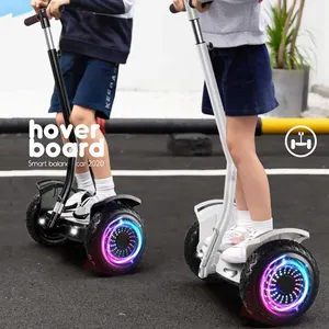 Hoverboard per hummerhover per adulti con batteria hoverboard intelligente da 10 pollici OEM di fabbricazione professionale in cina con luci con manubrio