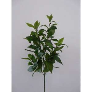 Foglia di Alloro 73CM GR - Product Image 1