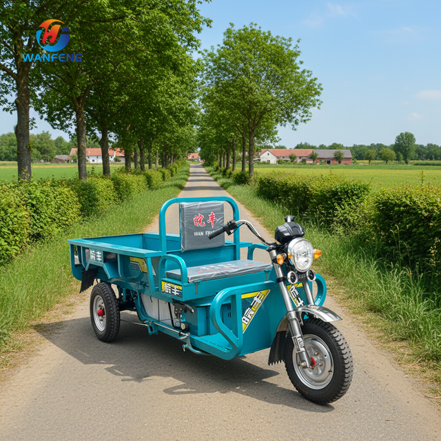 New Design Three Wheeled Adult Electric Vehicle 1.9 Meters Electric Tricycle Cargo for Short-distance Transportation