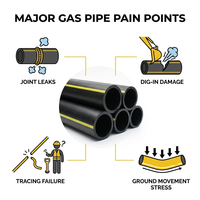 Tuyau de gaz polyéthylène BSX 2 PE100 haute pression certifié ISO avec fil de traçage pour la distribution principale de gaz municipal