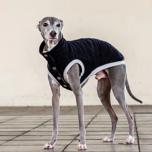 Ropa de invierno personalizada de algodón cálido abrigo de galgo italiano ropa para perros - Product Image 3