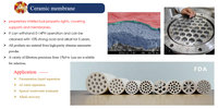 Tube en carbure de silicium SiC pour filtration corrosive à haute température MYTC-CM-4037 Membrane céramique 1000L/heure 0,1-1MPa en service