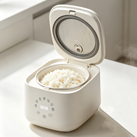 Autocuiseur Électrique Tactile Multifonctionnel avec Cuve Antiadhésive pour Cuisson à Faible Teneur en Sucre – Vente en Gros