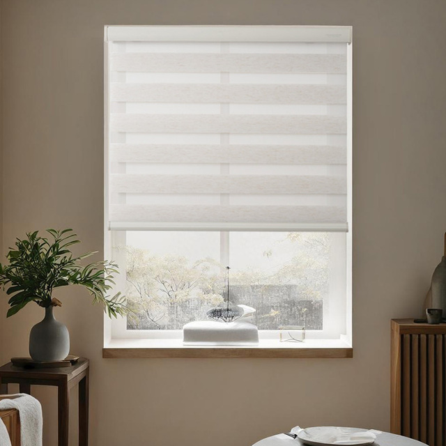Modern Fabric Roller Shade Custom Size Home Decor Automatic Window Cover Electric Motor Zip Blinds Shades Shutters