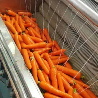 Groente-En Fruitcassave-Wasmachine/Dunschiller Aardappelgemberschilmachine Met Plc-Pompmotor Motorkerncomponenten