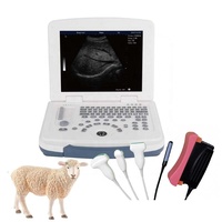 Coût de l'appareil d'échographie portable Dawei pour chats, chevaux, moutons, vaches et équidés