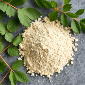 BioGrowing, polvo probiótico liofilizado, potenciador de la nutrición, bebida probiótica