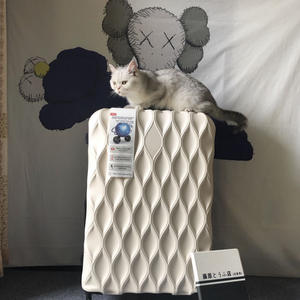 Valise Tumi Infinispin Modèle N101 Extensible avec Roues Pivotantes à 360 Degrés et Serrure, Unisexe, Voyage et Loisirs, Fermeture Éclair - Product Image 1