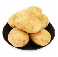 Poudre de peptide de pomme de terre de qualité alimentaire 98% Protéine de pomme de terre hydrolysée blanche Solanum Tuberosum Extrait végétal de peptide