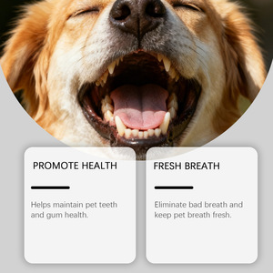 Spray Bucal para Perros YEGBONG Sin Perfume, Cuida Suavemente la Boca <span class=keywords><strong>de</strong></span> los Perros, Mantiene el <span class=keywords><strong>Aliento</strong></span> Fresco, Brinda Cuidado Bucal Diario, Hidrata Sin Necesidad <span class=keywords><strong>de</strong></span> Cepillado - Product Image 2