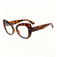 Lunettes Rétro Anti-Lumière Bleue Cat Eye en Métal SM19009 - Monture PC Légère avec Verres en Résine Transparente pour Hommes et Femmes