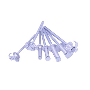<span class=keywords><strong>Remaches</strong></span> <span class=keywords><strong>de</strong></span> aluminio <span class=keywords><strong>de</strong></span> fabricante, tamaño personalizado, 4x20, <span class=keywords><strong>remaches</strong></span> <span class=keywords><strong>ciegos</strong></span> tipo cáscara, <span class=keywords><strong>remaches</strong></span> <span class=keywords><strong>de</strong></span> flores - Product Image 2