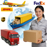 Agente de Carga Profesional en China, Exportación a Todo el Mundo, Servicio Puerta a Puerta, FCL/LCL, con Seguimiento en Línea