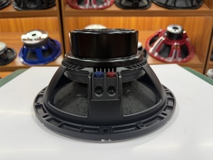 12 Inch Neodymium Chuyên Nghiệp Loa Điện 4 Inch Bằng Giọng Nói Cuộn Dây Dòng Mảng Woofer 12N401-Qy - Product Image 5