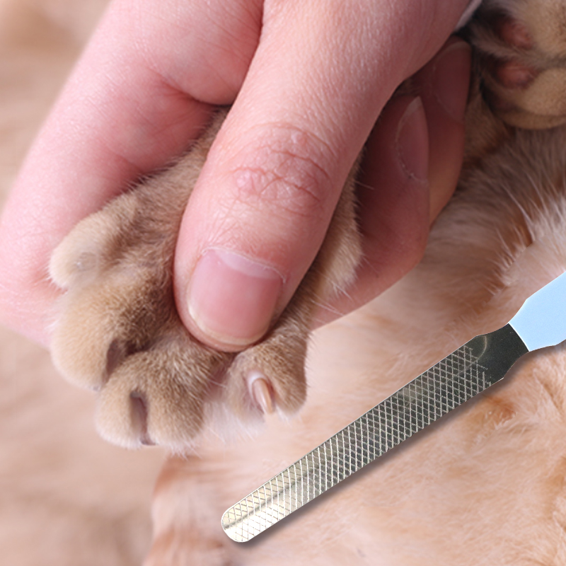 Pet Nail Clipper Cat Dog Grooming Easy to Wash Comfortable Use