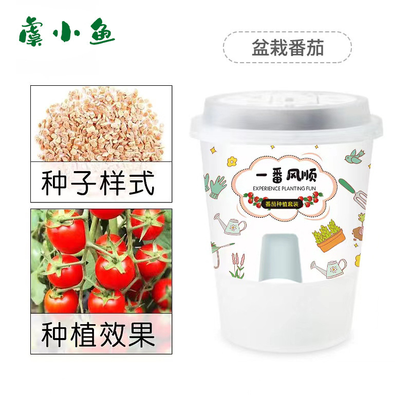 Kit de plantation de tomates