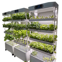 Machine de plantation automatique de légumes d'intérieur avec hydroponie pour usage domestique, alimentée par USB, 72 trous