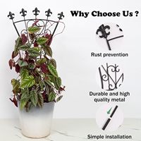 Treillis en fer forgé en forme d'éventail, support métallique pour plantes grimpantes en pot, pour la décoration intérieure et extérieure du jardin (lierre, clématites)