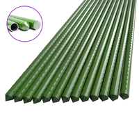 Piquets de jardin en acier et plastique enduit pour plantes, supports robustes pour arbustes/vignes, bâtons de soutien pour tomates et légumes