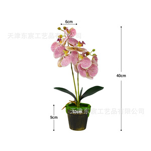 Orchidée Phalaenopsis artificielle, bonsaï, 40 cm, plante en soie, décoration d'intérieur, accessoires de mariage, rose, blanc, champagne, violet - Product Image 2