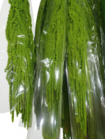 Bunga Amaranthus Gantung Awet Murah Terlaris dari Pabrik untuk Dekorasi Pernikahan, Amaranthus Gantung Awet Grosir