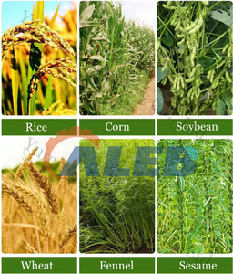 Macchina Agricola per la Raccolta: Raccoglitrice di Grano, Tagliaerba per Riso, Falciatrice per Soia, Decespugliatore - Modello di Punta e Molto Richiesto - Product Image 6