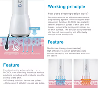 Dispositivo Profesional 3 en 1 Dcool de Electroporación y Enfriamiento de la Piel para Rejuvenecimiento Facial, Lifting y Antienvejecimiento
