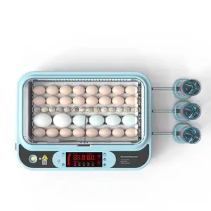 Inkubator Penyetel Telur Ayam Otomatis Ukuran Kecil Incubadora untuk Codorniz Pollos