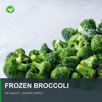 Brócoli Congelado XMSD 1 kg x 10 Paquetes por Caja para Distribución de Comestibles Importados y Programas de Venta Minorista de Formato Pequeño