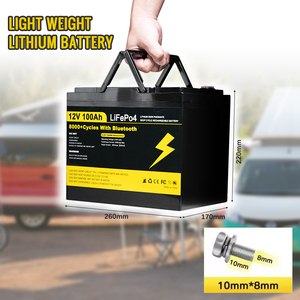 Paquete de Baterías LiFePo4 de 12v 12.8v 100ah 200ah en Existencia en la UE, Más de 8000 Ciclos, Entrega Rápida en la UE, Totalmente Compatibles, Terminales Nuevos de Grado A Originales - Product Image 2