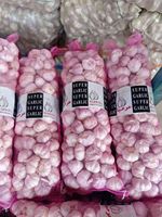Ajo pelado más nuevo de China en estilos calientes frescos normales blanco púrpura verde para alimentos exportados a Ecuador España Senegal