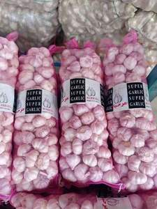 Ajo pelado más nuevo de <span class=keywords><strong>China</strong></span> en estilos calientes frescos normales blanco púrpura verde para alimentos exportados a Ecuador España Senegal - Product Image 6