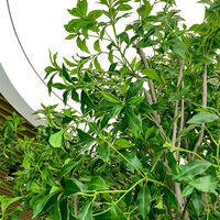 Japonais andromède arbres artificiels faux arbre 1 mètres expédier rapidement décoration personnalisé véritable usine faux