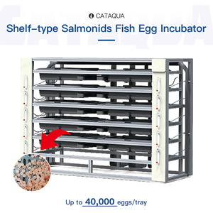 Incubadora de Huevos de Peces Multifuncional Automática de Recirculación Vertical para la Cría de <span class=keywords><strong>Salmónidos</strong></span> en Acuicultura - Product Image 1