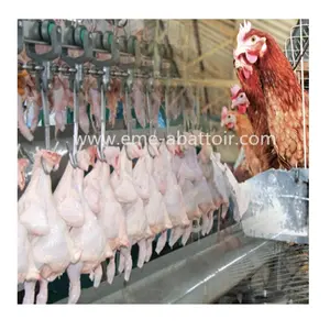 Línea de matadero de pollos completa, equipo de matadero de aves de corral con riel de transporte para máquina de matadero