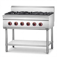 Cuisinière à gaz commerciale Ruitai, 6 brûleurs, cuisinière à gaz, feu puissant, chaleur rapide, acier inoxydable, contrôle double zone
