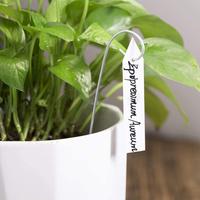 Étiquettes de plantes Étiquettes de plantes en plastique Étiquette de jardin de pépinière Marqueur de pot Étiquette de piquet de jardin Fleurs Verdure Étiquette de plante en plastique étanche