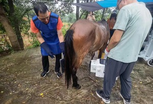 جهاز أشعة سينية محمول للحيوانات الأليفة بقوة 10 كيلو واط و160 مللي أمبير مع شاشة LCD وبطارية - Product Image 2