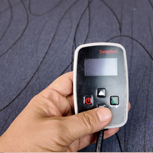 Запатентованный электрический термостатический отопитель для спальника грузовика на дизельном топливе |   Двойное отопление для кабины и спального места - Product Image 2