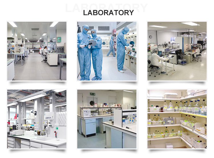 Chemical BMK Pmk Oil Powder 28578-16-7 718-08-1 5337-93-9 20320-59-6 1451-83-8 79o99 6