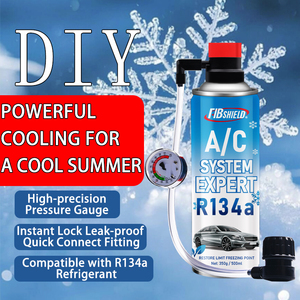 FIBSHIELD N.W. Kit di ricarica A/C R134a da 250g con manometro universale, tubo ad alta pressione, lettura della pressione di precisione per climatizzatori auto - Product Image 3