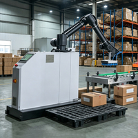 Lengan Robot Industri Mini dengan Gripper Khusus, Pengolah Robot untuk Pengemasan Karton Otomatis, Robot Pengemas Kardus, dan Robot Palletizer
